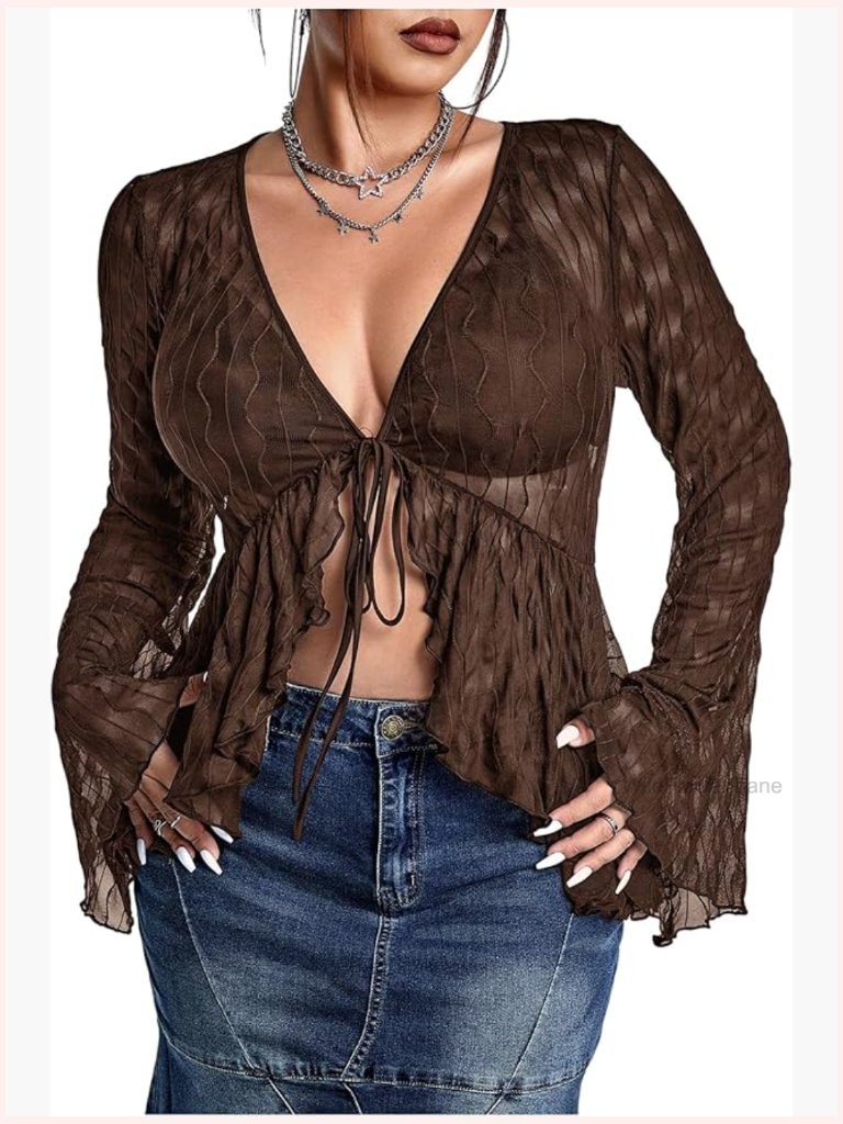 Plus Size Sheer Mesh V-Neck Long Sleeve Tunic Tee, Sexy Date Night Top